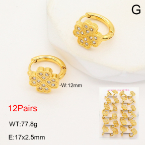 2E4004708alka-446  Stainless Steel Earrings