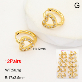 2E4004709alka-446  Stainless Steel Earrings
