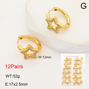 2E4004711alka-446  Stainless Steel Earrings