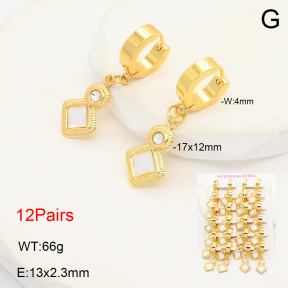 2E4004713ajma-446  Stainless Steel Earrings