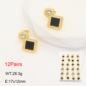 2E4004715ajvb-446  Stainless Steel Earrings