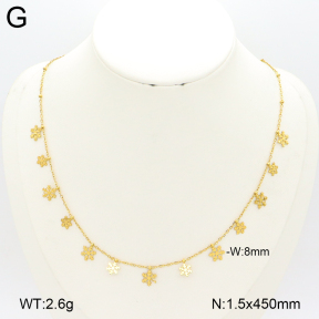 2N2007283ablb-696  Stainless Steel Necklace