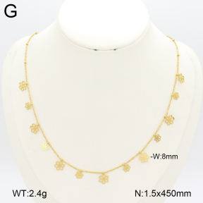 2N2007287ablb-696  Stainless Steel Necklace