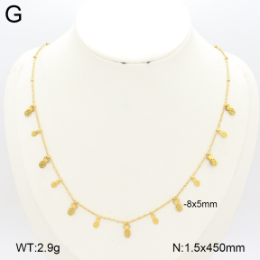 2N2007289ablb-696  Stainless Steel Necklace