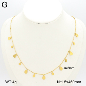 2N2007296ablb-696  Stainless Steel Necklace