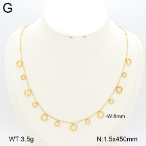 2N2007299ablb-696  Stainless Steel Necklace