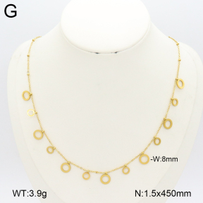 2N2007300ablb-696  Stainless Steel Necklace