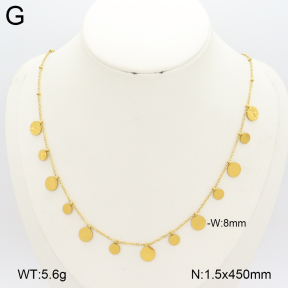 2N2007301ablb-696  Stainless Steel Necklace