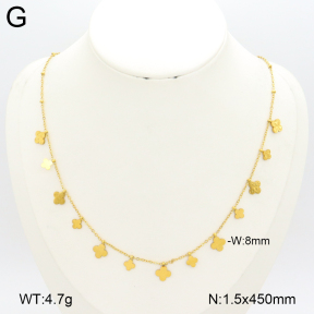 2N2007302ablb-696  Stainless Steel Necklace