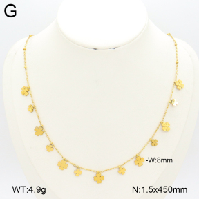 2N2007303ablb-696  Stainless Steel Necklace