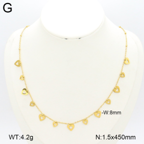 2N2007304ablb-696  Stainless Steel Necklace