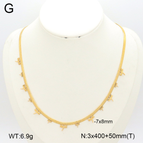 2N2007310vbnb-696  Stainless Steel Necklace