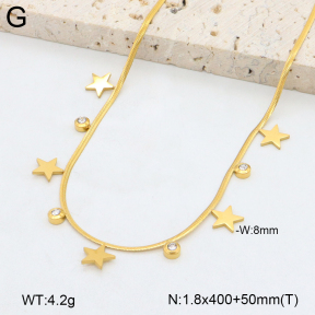 2N4004968vbnb-696  Stainless Steel Necklace