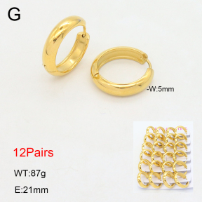 2E2006471amaa-387  Stainless Steel Earrings