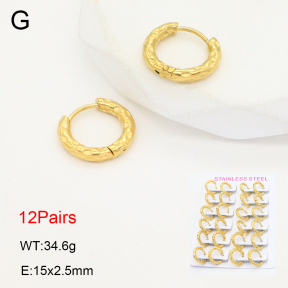 2E2006473akia-387  Stainless Steel Earrings