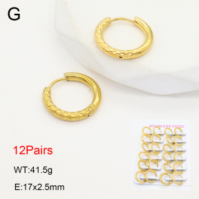 2E2006474akoa-387  Stainless Steel Earrings