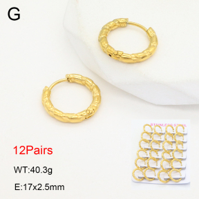 2E2006475akoa-387  Stainless Steel Earrings