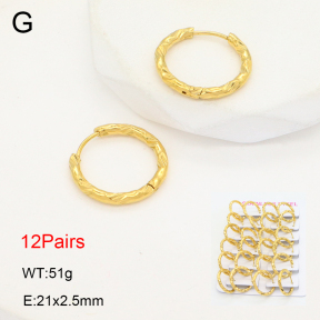 2E2006476akoa-387  Stainless Steel Earrings