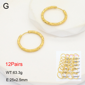 2E2006477amaa-387  Stainless Steel Earrings