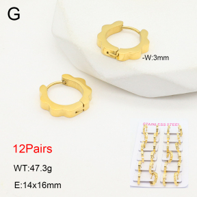 2E2006478amaa-387  Stainless Steel Earrings