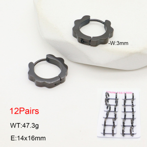 2E2006480amaa-387  Stainless Steel Earrings