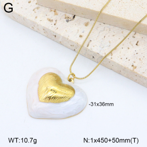2N3003050vbnl-669  Stainless Steel Necklace
