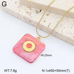 2N3003055abol-669  Stainless Steel Necklace