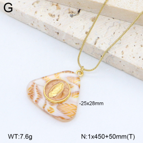 2N3003059abol-669  Stainless Steel Necklace