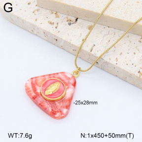 2N3003060abol-669  Stainless Steel Necklace