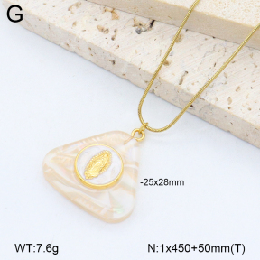 2N3003061abol-669  Stainless Steel Necklace