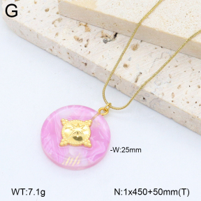 2N3003062abol-669  Stainless Steel Necklace