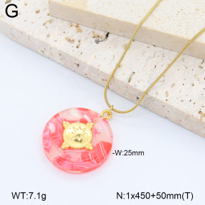 2N3003063abol-669  Stainless Steel Necklace