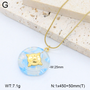 2N3003064abol-669  Stainless Steel Necklace