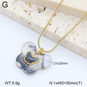 2N3003065abol-669  Stainless Steel Necklace