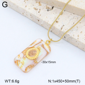 2N3003067abol-669  Stainless Steel Necklace