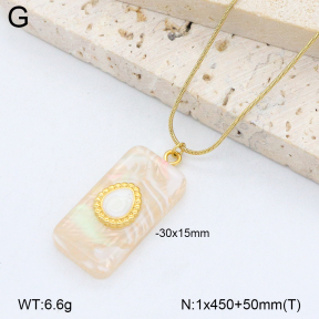 2N3003068abol-669  Stainless Steel Necklace