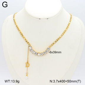 2N4005006vbpb-749  Stainless Steel Necklace