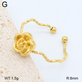 2R2002107baka-749  Stainless Steel Ring