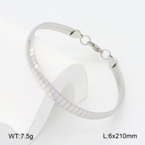 2B2004846aajl-452  Stainless Steel Bracelet