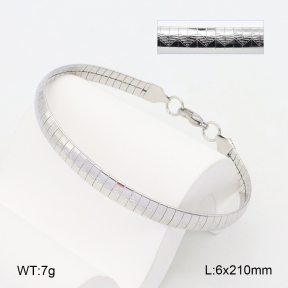 2B2004849aajm-452  Stainless Steel Bracelet