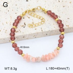 2B4005384vbpb-464  Stainless Steel Bracelet