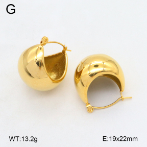 2E2006437bhva-497  Stainless Steel Earrings