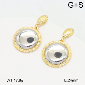 2E2006484bbml-434  Stainless Steel Earrings