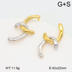 2E2006485vbnl-434  Stainless Steel Earrings