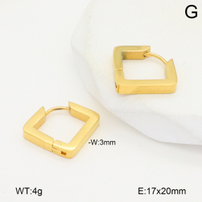 2E2006486baka-434  Stainless Steel Earrings