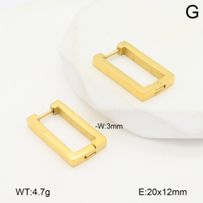 2E2006487baka-434  Stainless Steel Earrings