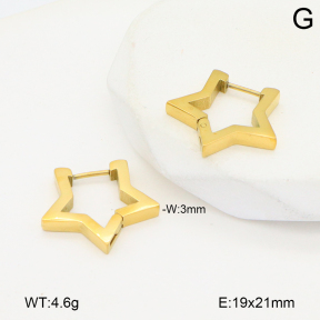 2E2006488baka-434  Stainless Steel Earrings