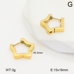 2E2006490baka-434  Stainless Steel Earrings