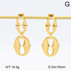 2E2006492abol-434  Stainless Steel Earrings