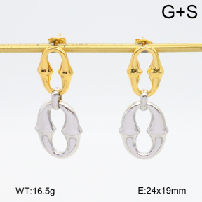 2E2006493bbov-434  Stainless Steel Earrings